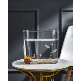 PET Aquarium Box Plastics Ultra-white Organic Glass Explosion-proof Fish Tank Tabletop Small Ecological Water Tank