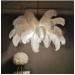 Nordic Ostrich Feather Led Pendant Lamp Living Room Feather Lamp Bedroom Home Decor Indoor Lighting 